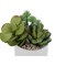 Monarch Specialties Artificial Plant 7" Tall Succulent, Indoor, Faux, Fake, Table, Greenery, Potted Set Of 2, Decorative I 9588 - alternate 2